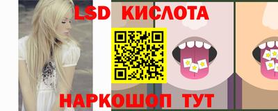 стаф Донской