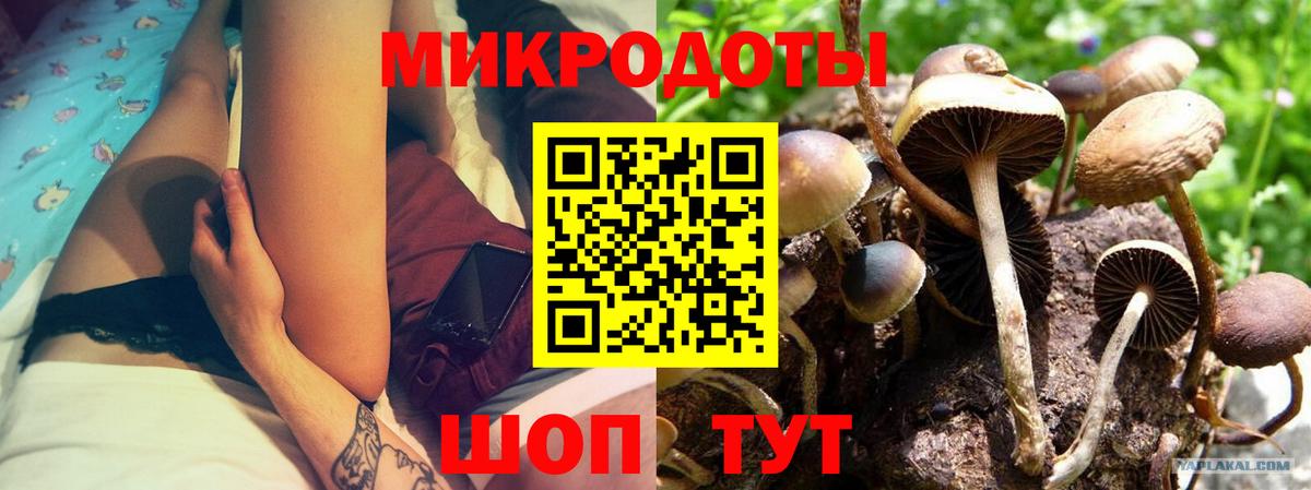 Мценск  Псилоцибиновые грибы мицелий  Вход с VPN 